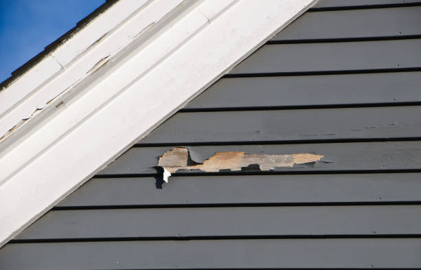 Best Residential Vinyl Siding Installation  in English Creek, NJ